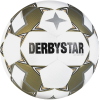 Derbystar Brillant APS v24