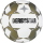 Derbystar Brillant APS v24