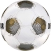 Derbystar Brillant APS v25