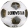 Derbystar Brillant APS v25