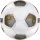 Derbystar Brillant APS v25