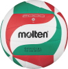 Molten Volleyball V5M2000