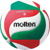 Molten Volleyball V5M2200