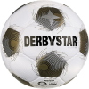 Derbystar Brillant APS v26